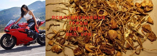 прущая мука Баксан