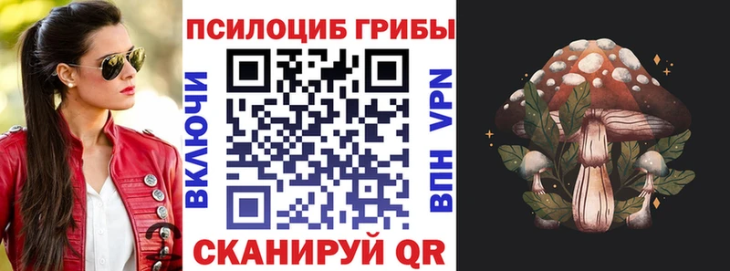 Псилоцибиновые грибы Psilocybine cubensis  купить наркотик  Биробиджан 